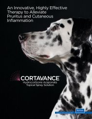 Cortavance - Guidebook