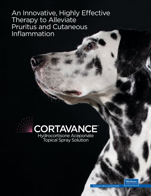 hydrocortisone aceponate for dogs