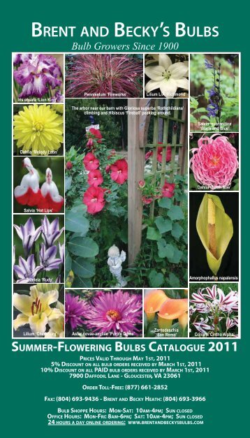 2008 Summer Flowering Bulbs Catalogue - Brent and Becky's Bulbs!
