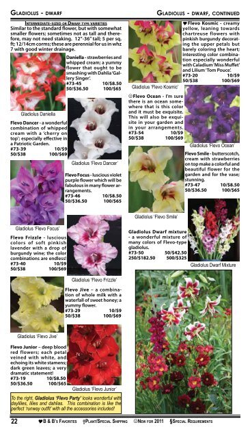 2008 Summer Flowering Bulbs Catalogue - Brent and Becky's Bulbs!