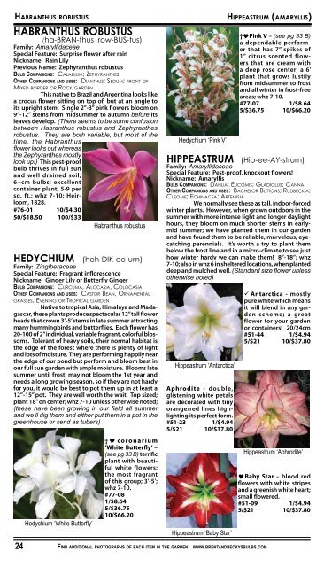 2008 Summer Flowering Bulbs Catalogue - Brent and Becky's Bulbs!