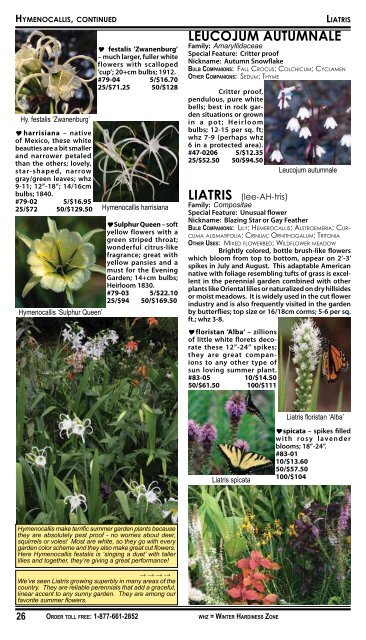 2008 Summer Flowering Bulbs Catalogue - Brent and Becky's Bulbs!