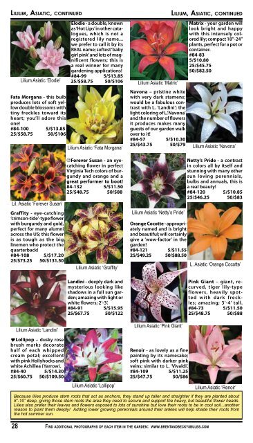 2008 Summer Flowering Bulbs Catalogue - Brent and Becky's Bulbs!