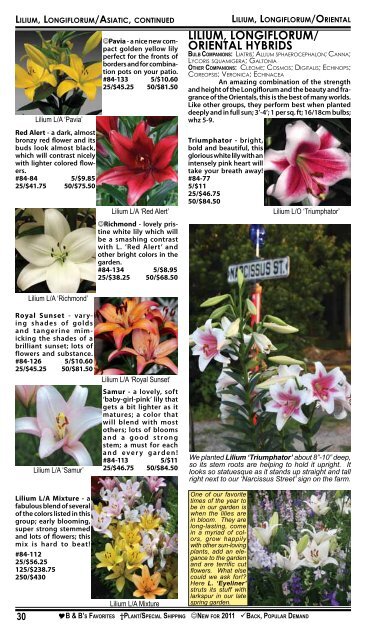 2008 Summer Flowering Bulbs Catalogue - Brent and Becky's Bulbs!