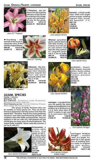 2008 Summer Flowering Bulbs Catalogue - Brent and Becky's Bulbs!