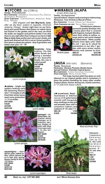 2008 Summer Flowering Bulbs Catalogue - Brent and Becky's Bulbs!