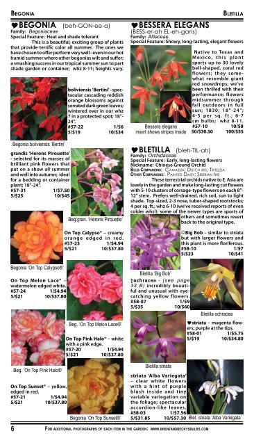 2008 Summer Flowering Bulbs Catalogue - Brent and Becky's Bulbs!