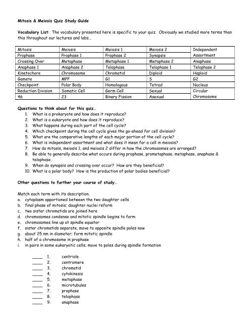 Mitosis Meiosis Quiz Study Guide Vocabulary List The Vocabulary