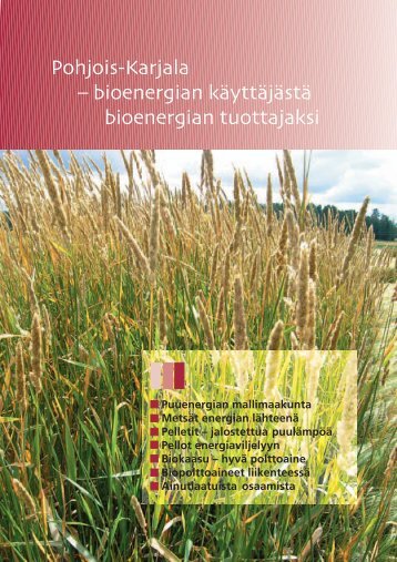 bioenergian käyttäjästä bioenergian tuottajaksi - baltic biomass ...
