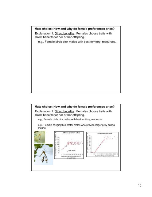 increased homozygosity