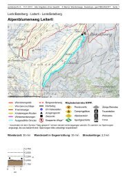 Alpenblumenweg Leiterli - barbarascherler.ch