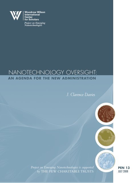 nanotechnology oversight - Project on Emerging Nanotechnologies
