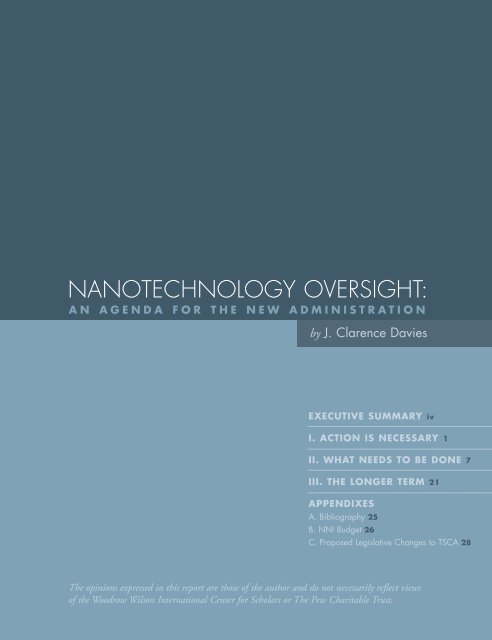 nanotechnology oversight - Project on Emerging Nanotechnologies