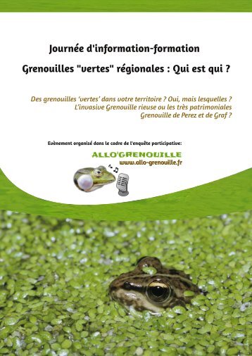 allo'grenouille