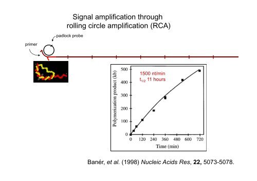 Targeting by probe-based circularisation