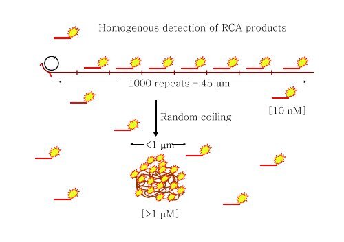 Targeting by probe-based circularisation