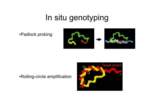 Targeting by probe-based circularisation