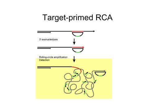 Targeting by probe-based circularisation