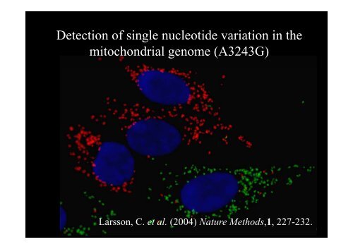 Targeting by probe-based circularisation