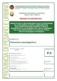 Relazione paesaggistica PROGETTO DEFINITIVO - Provincia di ...