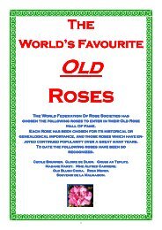 ON LINE BROCHURE Worlds Fav OLD Roses - Country Garden ...