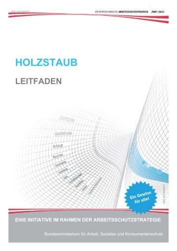 holzstaub leitfaden eine initiative im rahmen der ... - Arbeitsinspektion