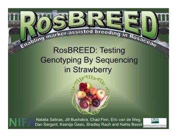 RosBREED: Testing Genotyping By Sequencing in Strawberry