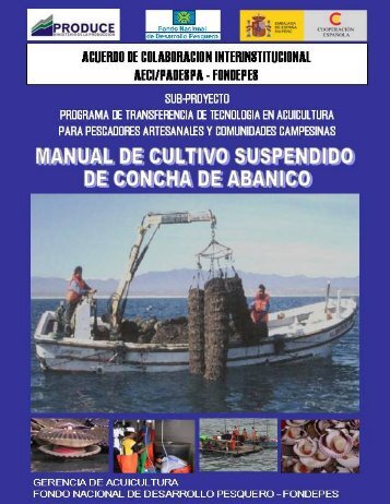 Manual de Concha de Abanico - Ministerio de la ProducciÃ³n
