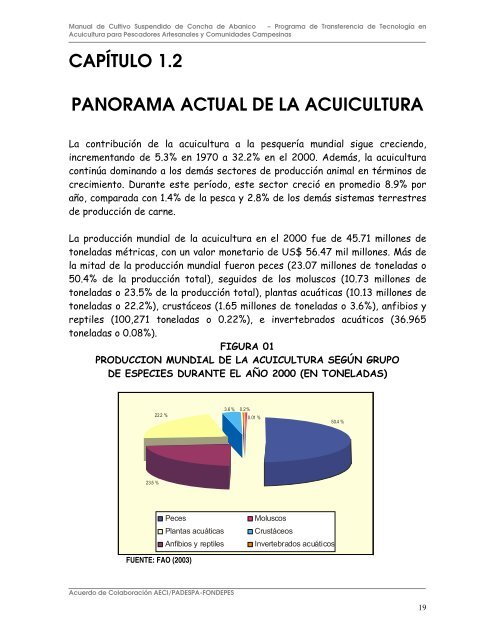 Manual de Concha de Abanico - Ministerio de la ProducciÃ³n