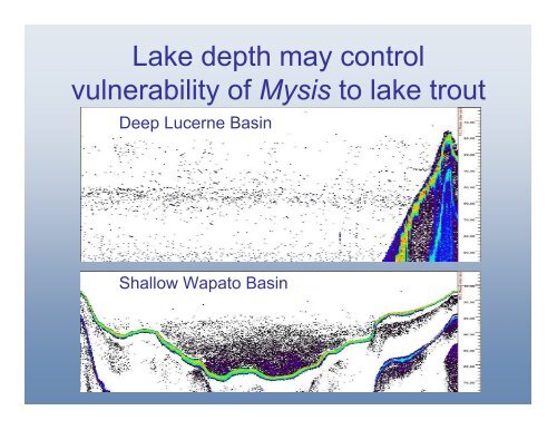 Quantifying aquatic food web interactions in Lake Chelan ...