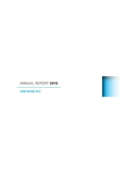 Annual Report 2010 (PDF) - USB Bank