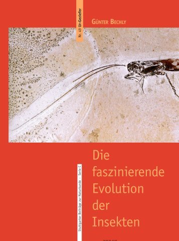 Die faszinierende Evolution der Insekten - Staatliches Museum fuer ...