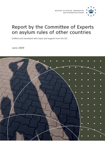 Report by the Committee of Experts on asylum rules ... - Ny i Danmark