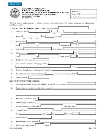 Accident Report Form