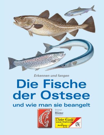 Die Fische der Ostsee und wie man sie beangelt Erkennen ... - Blinker