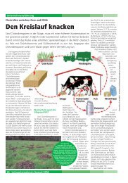 Clostridien zwischen Gras und Milch - Den Kreislauf ... - Silierung