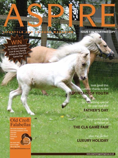 Old Croft Falabellas - Aspire Magazine