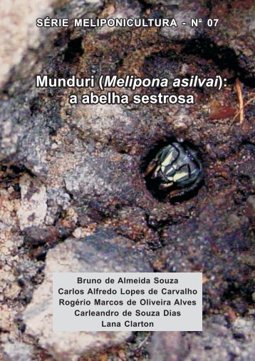 Munduri (Melipona asilvai) - INSECTA - NÃºcleo de Estudo dos ...