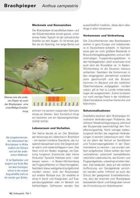 Im Portrait - die Arten der EU-Vogelschutzrichtlinie - LUBW - Baden ...