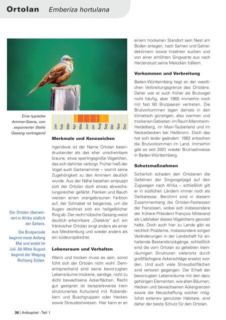 Im Portrait - die Arten der EU-Vogelschutzrichtlinie - LUBW - Baden ...