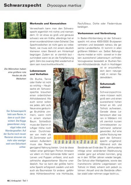 Im Portrait - die Arten der EU-Vogelschutzrichtlinie - LUBW - Baden ...