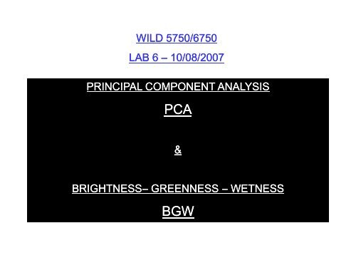 Brightness - Remote Sensing and GIS Laboratory