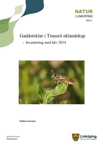 Tinnerö_gaddsteklar_2014