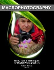Download PDF - The Canadian Nature  Photographer