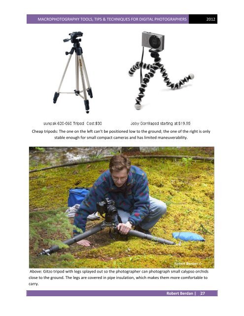 Download PDF - The Canadian Nature  Photographer