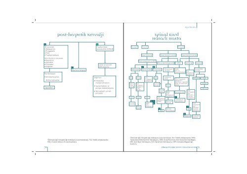 Nöropatik Ağrı Tanı ve Tedavi Rehberi - Türk Nöroloji Derneği