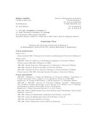 Curriculum Vitae - Institut de MathÃ©matiques de Bordeaux ...