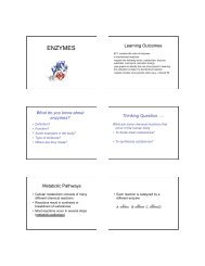 enzymes 1.ppt.pdf