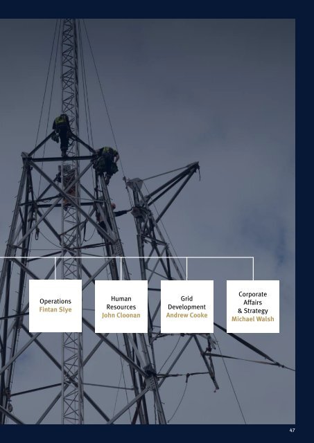 EirGrid plc Annual Report 2011