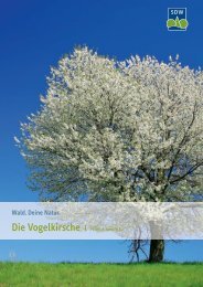 Die Vogelkirsche - Schutzgemeinschaft Deutscher Wald